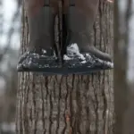 GRIP STICK™ 3 – PACK - Imagen 6