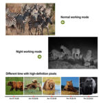 Cámara foto trampeo - Imagen 3