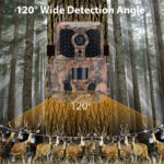 Cámara foto trampeo - Imagen 2