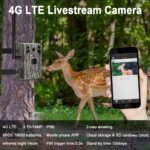 Cámara 4G Calidad 4 k Con Baterías y Placa solar - Imagen 7