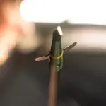 SWHACKER #207 2 BLADE 100 GRAIN 2" CUT 3 PACK - Imagen 2