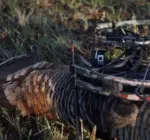 SWHACKER #258 HYBRID 125 GRAIN, 2.25″ CUT + 1″ BLEEDER - Imagen 4