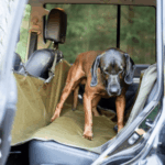 Funda Asiento Coche Trasero