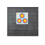 Sistema de tiro con arco Revolve 2.0  365 Archery