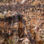 Red Camuflaje  Camo Deluxe Marrón - Imagen 2