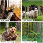 Cámara 4G Calidad 4 k Con Baterías y Placa solar - Imagen 6