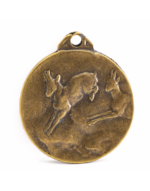 Medalla Homologación Rebeco - Imagen 6