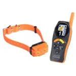 Collar de adiestramiento R-500