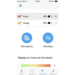 Collar de adiestramiento electrónico con GPS Canicom GPS2 - Imagen 3