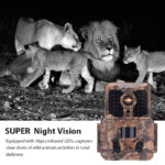 Cámara foto trampeo - Imagen 6