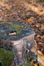 Reclamo Agachadiza - Imagen 3