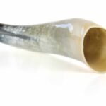 Reclamo Ciervo  Klaus Cuerno Buey