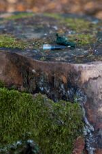 Reclamo Zorro Imitación Zorro Ratón - Imagen 3