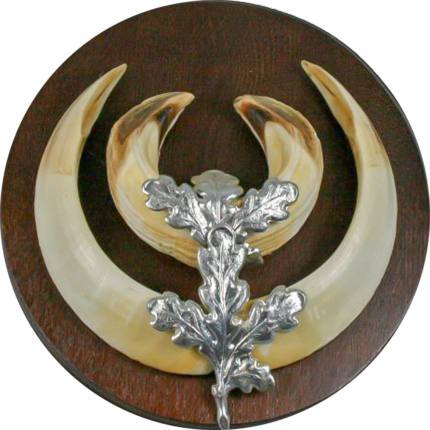 Trofeo Jabalí Montado