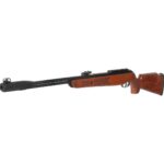 .........Serie Madera Gamo.........GAMO CFX ROYAL