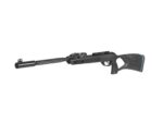 ........Serie Multidisparo Gamo.........ROADSTER IGT 10X GEN2