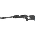 ........Serie Multidisparo Gamo.........ROADSTER IGT 10X GEN2