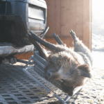 Cesta Enganche Rápido Basculante - Imagen 3