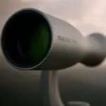 Telescopio Swarovski Optik ST VISTA 30x75 para exterior - Imagen 3