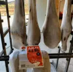 BOLSAS DE CARNE ANTI-MICRO XL  (4 Unidad) - Imagen 7