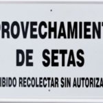 Tablilla APROVECHAMIENTO DE SETAS prohibido recolectar sin autorización (España) 50×33