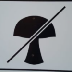 Tablilla Seta cruzada Segundo Orden (España) 30×20