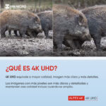 Visor Digital Nocturno Y Diurno Alpex LRF 4K A50EL Con Telémetro HIKMICRO - Imagen 3