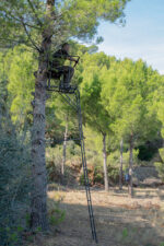 Treestand Doble - Imagen 7