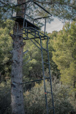 Treestand Doble - Imagen 5
