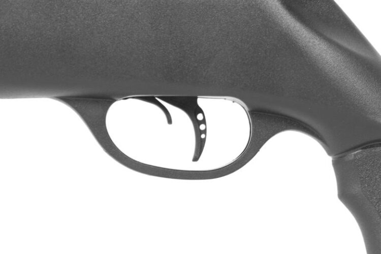 Carabina PCP Gamo ARROW PCP - Imagen 4