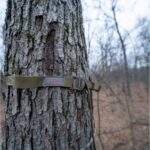 ARCHERY > GEAR Strap