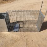 Jaula Trampa Zorros REFORZADO MÁXIMO