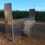 Jaula Trampa Zorros REFORZADO MÁXIMO 2 Puertas