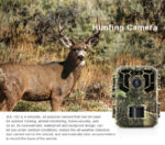 Cámara fototrampeo - Imagen 3