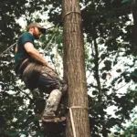 Maverick Saddle (REG) - Imagen 8