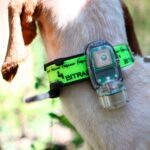 Collar Radio + GPS + Beeper para perros de caza MITO 5100 BITRABI - Imagen 3