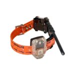 Collar para perros de caza MITO 5300 BITRABI - Imagen 2