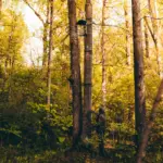 BIG FOOT™ ROGUE XL™ HANG-ON - Imagen 9