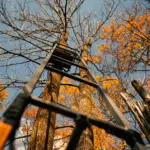 DELUXEb   1-MAN" - Imagen 3