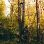 20FT CONNECTED STICK - Imagen 2