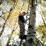 TREE LADDER WITH SAFETY ROPE - Imagen 4