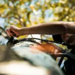 TREE LADDER WITH SAFETY ROPE - Imagen 3