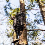 CORREAS UNIVERSALES - Imagen 5