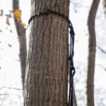 Arnés de cuerda para árbol de 2,4 METROS - Imagen 4