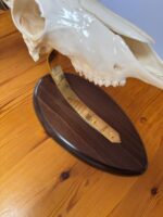 Pletina dorada con embellecedores y peana de madera para  cráneo Muflón - Imagen 3