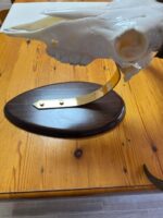 Pletina dorada con embellecedores y peana de madera para  cráneo Muflón - Imagen 5