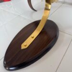 Pletina dorada con embellecedores y peana de madera para  cráneo Muflón