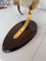 Pletina dorada con embellecedores y peana de madera para  cráneo Muflón