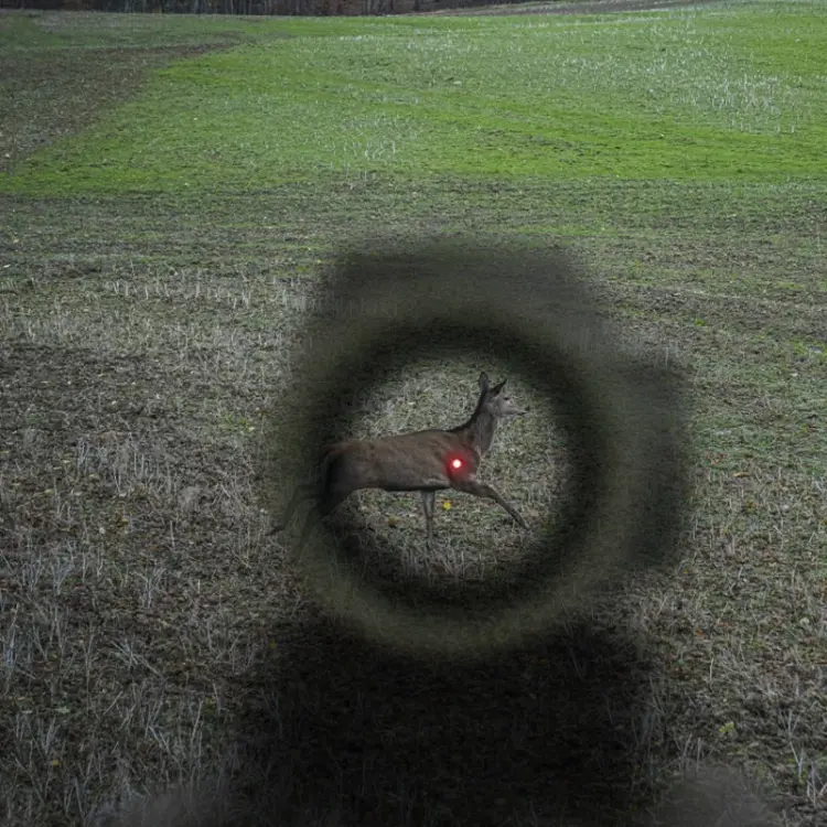 Visor Punto Rojo Aimpoint Acro C2 - Imagen 2