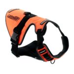 Arnés de señalización CANIHUNT SIGNAL - Imagen 13